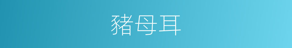 豬母耳的同義詞