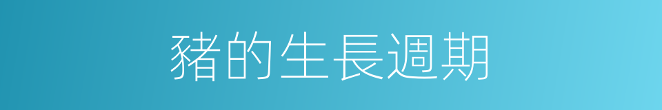 豬的生長週期的同義詞