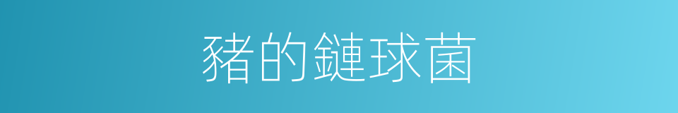 豬的鏈球菌的同義詞