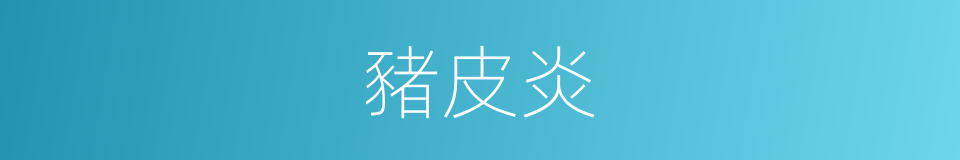 豬皮炎的同義詞