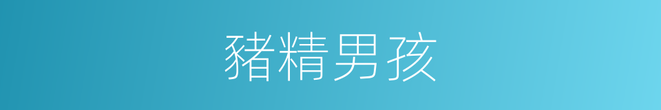 豬精男孩的同義詞
