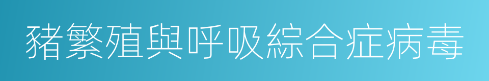 豬繁殖與呼吸綜合症病毒的同義詞