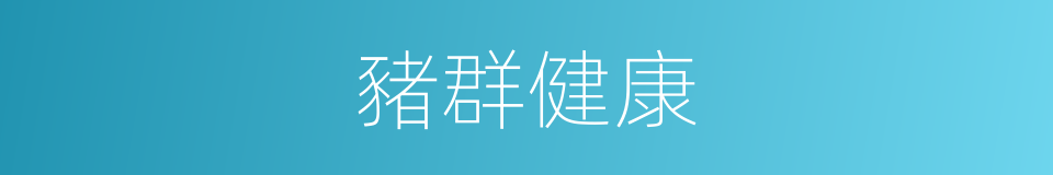 豬群健康的同義詞