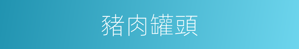 豬肉罐頭的同義詞