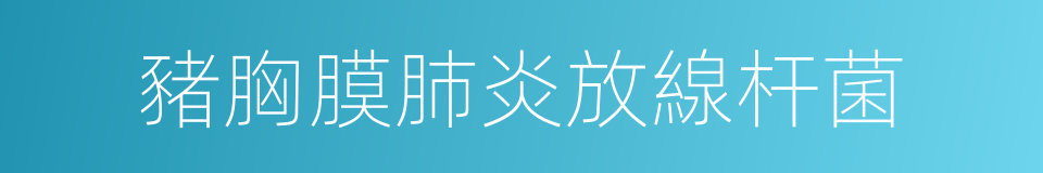 豬胸膜肺炎放線杆菌的同義詞