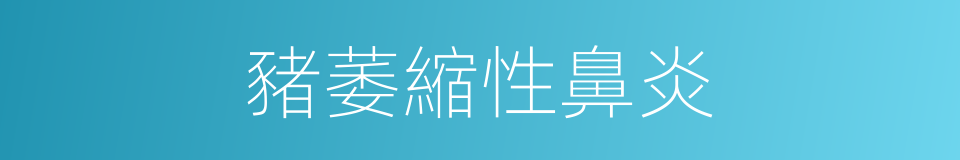 豬萎縮性鼻炎的同義詞