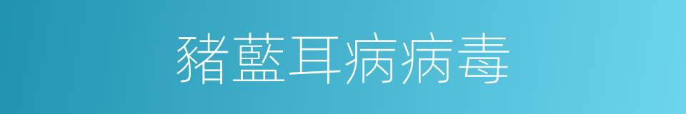 豬藍耳病病毒的同義詞