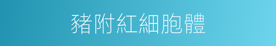 豬附紅細胞體的同義詞