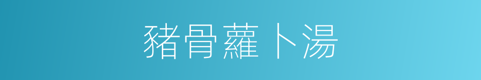 豬骨蘿卜湯的同義詞
