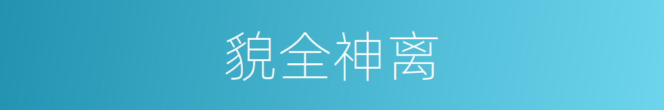 貌全神离的同义词