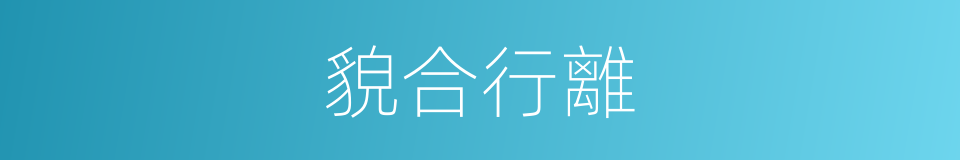 貌合行離的意思