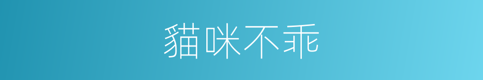 貓咪不乖的同義詞