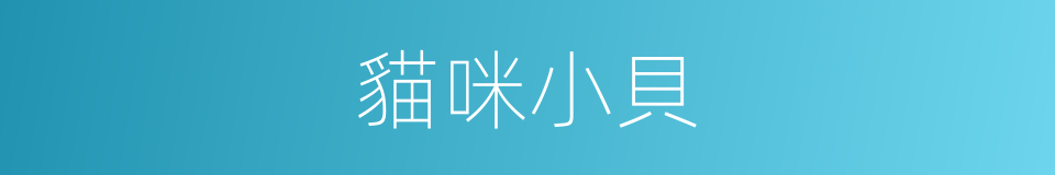 貓咪小貝的同義詞