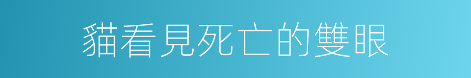 貓看見死亡的雙眼的同義詞