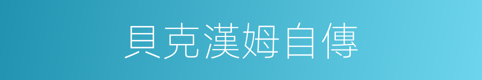 貝克漢姆自傳的同義詞