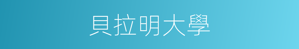貝拉明大學的同義詞