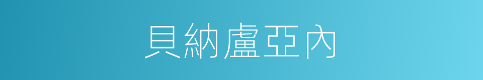 貝納盧亞內的同義詞