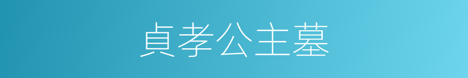 貞孝公主墓的同義詞