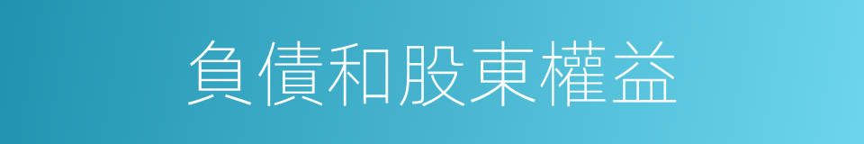 負債和股東權益的同義詞