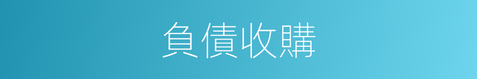 負債收購的同義詞