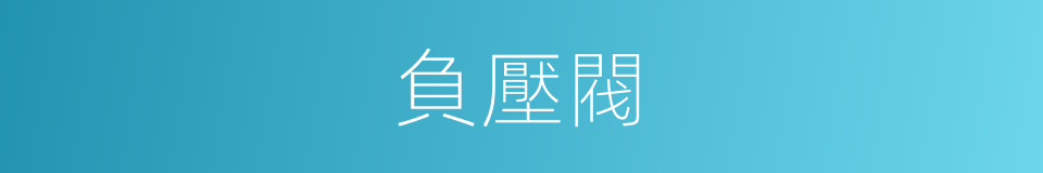 負壓閥的同義詞