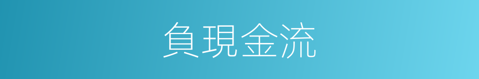 負現金流的同義詞