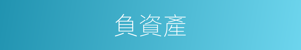 負資產的意思