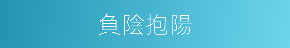 負陰抱陽的意思