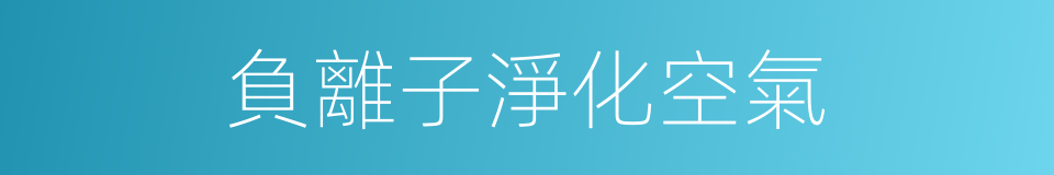 負離子淨化空氣的同義詞