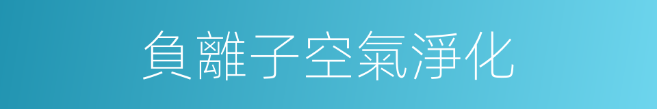 負離子空氣淨化的同義詞