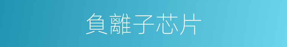 負離子芯片的同義詞
