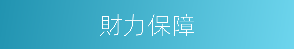 財力保障的同義詞