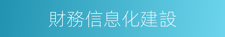 財務信息化建設的同義詞