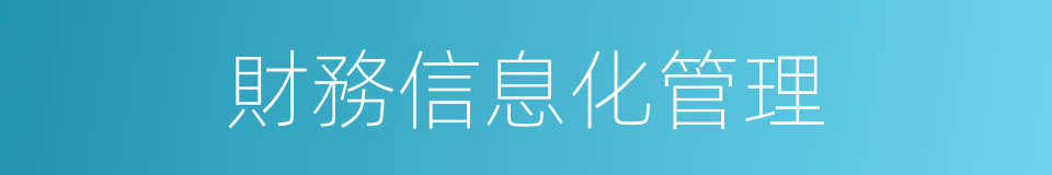 財務信息化管理的同義詞