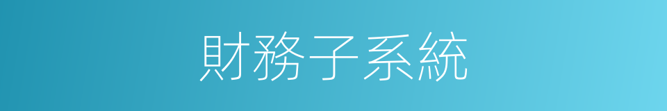 財務子系統的同義詞