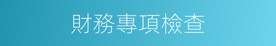 財務專項檢查的同義詞