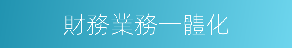 財務業務一體化的同義詞