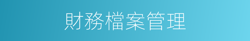 財務檔案管理的同義詞