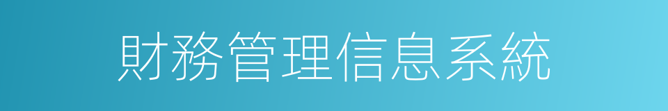 財務管理信息系統的同義詞