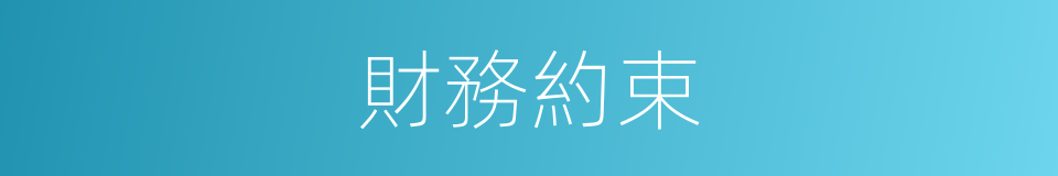 財務約束的同義詞
