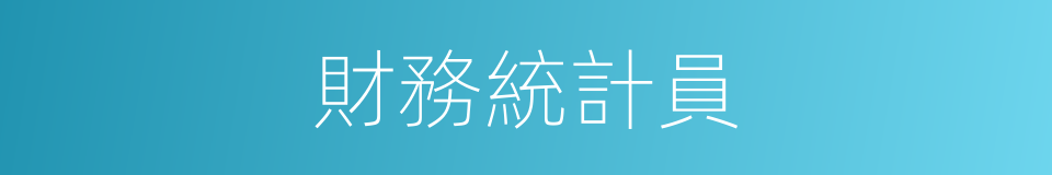 財務統計員的同義詞