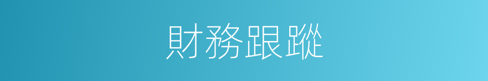 財務跟蹤的同義詞