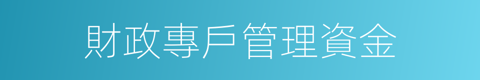 財政專戶管理資金的同義詞
