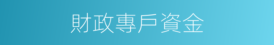 財政專戶資金的同義詞