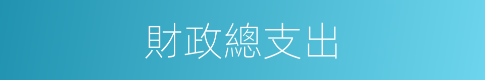 財政總支出的同義詞