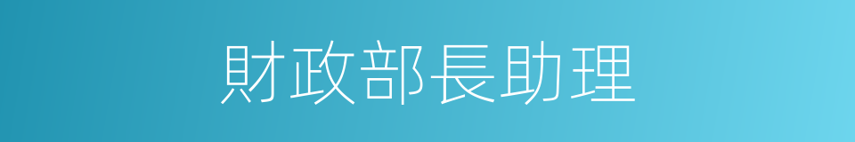財政部長助理的同義詞