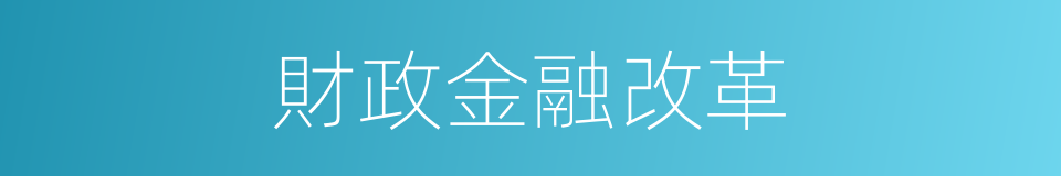財政金融改革的同義詞