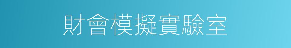 財會模擬實驗室的同義詞