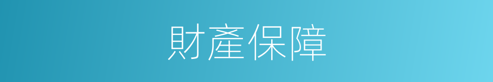 財產保障的同義詞