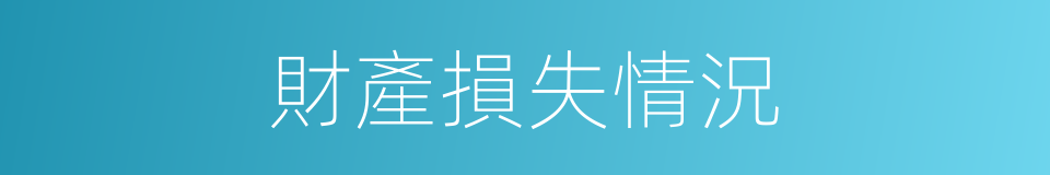 財產損失情況的同義詞